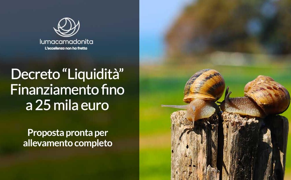 DECRETO LIQUIDITA’: Finanziamento di 25.000 €