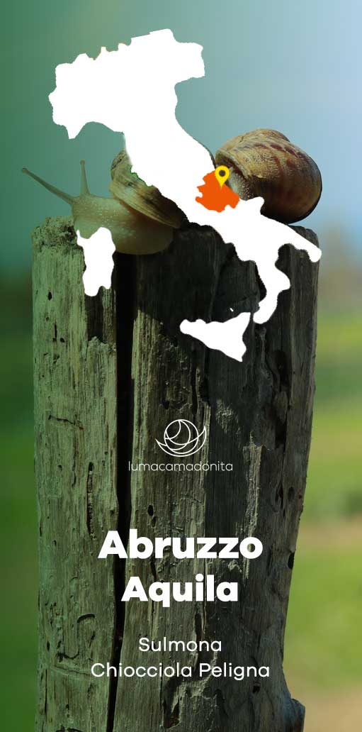 corso di elicicoltura abruzzo corso di elicicoltura abruzzo