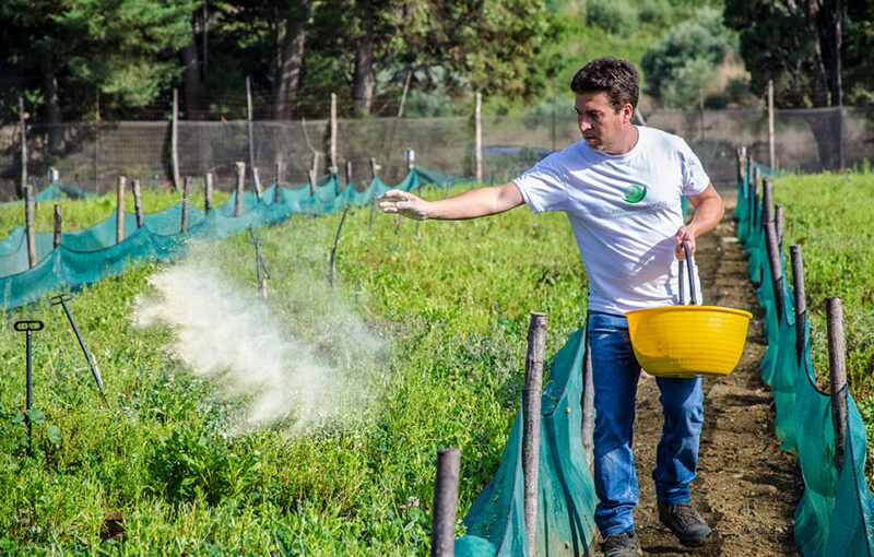 Mangime per lumache Nutrihelix lumaca madonita alimentazione per lumache