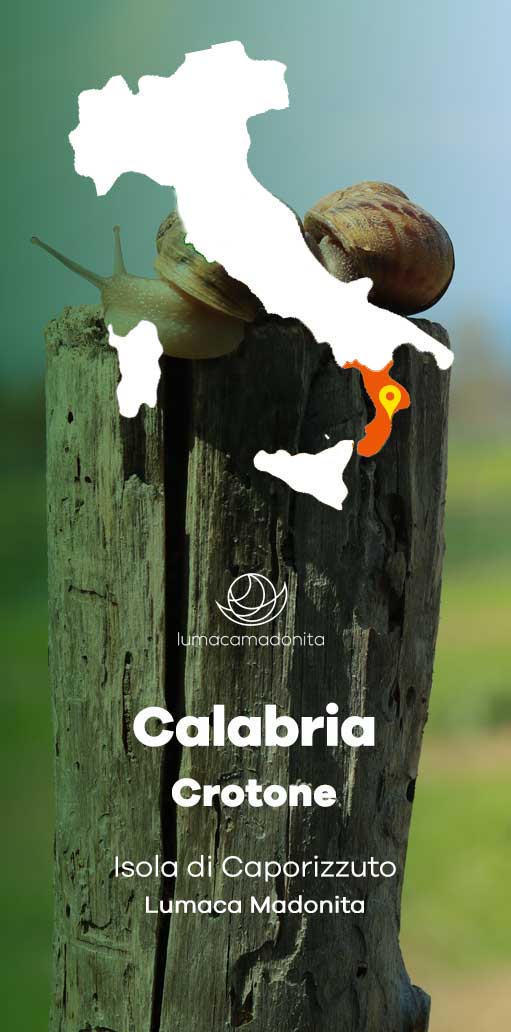 corso di elicicoltura calabria corso di elicicoltura calabria