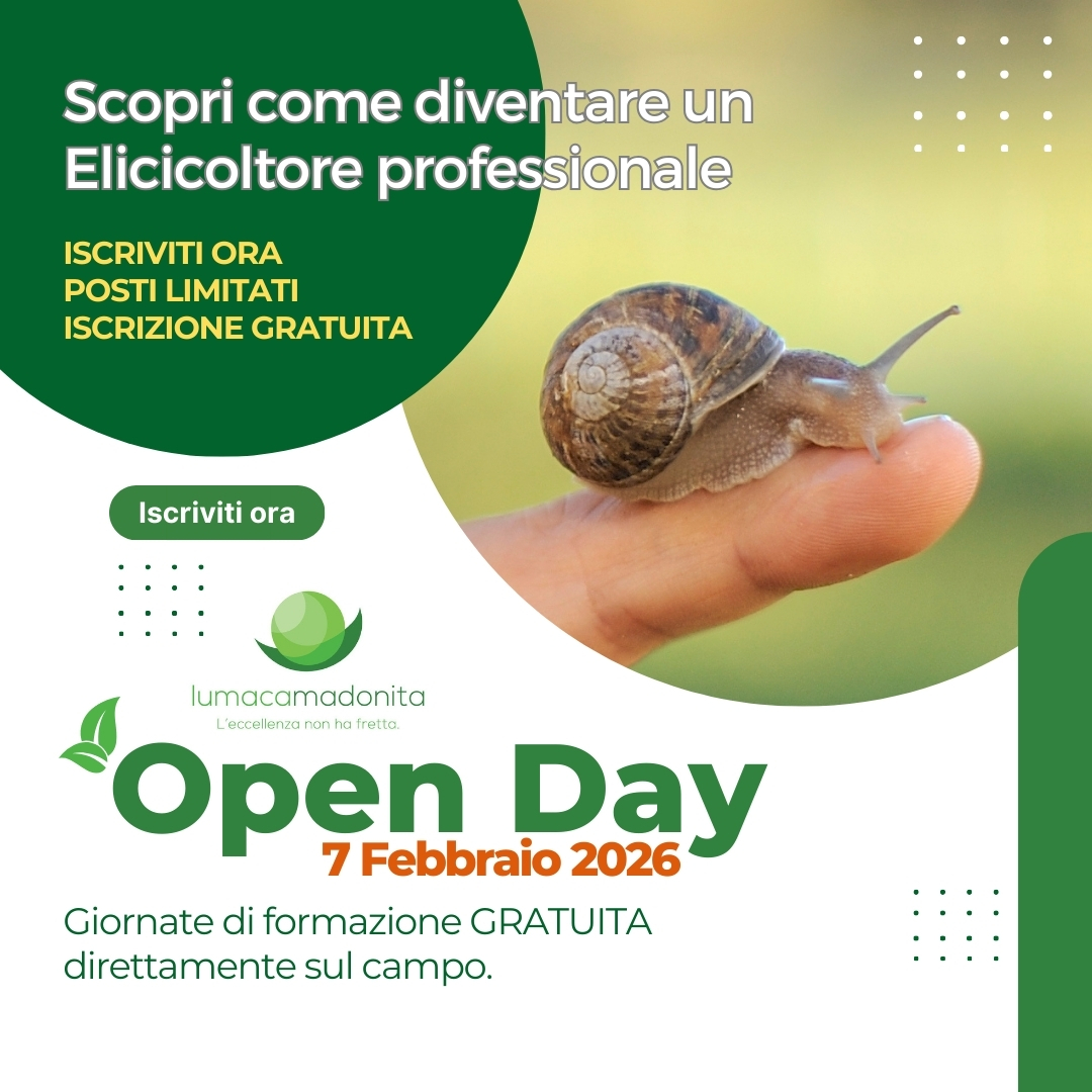Open Day 7-2-26